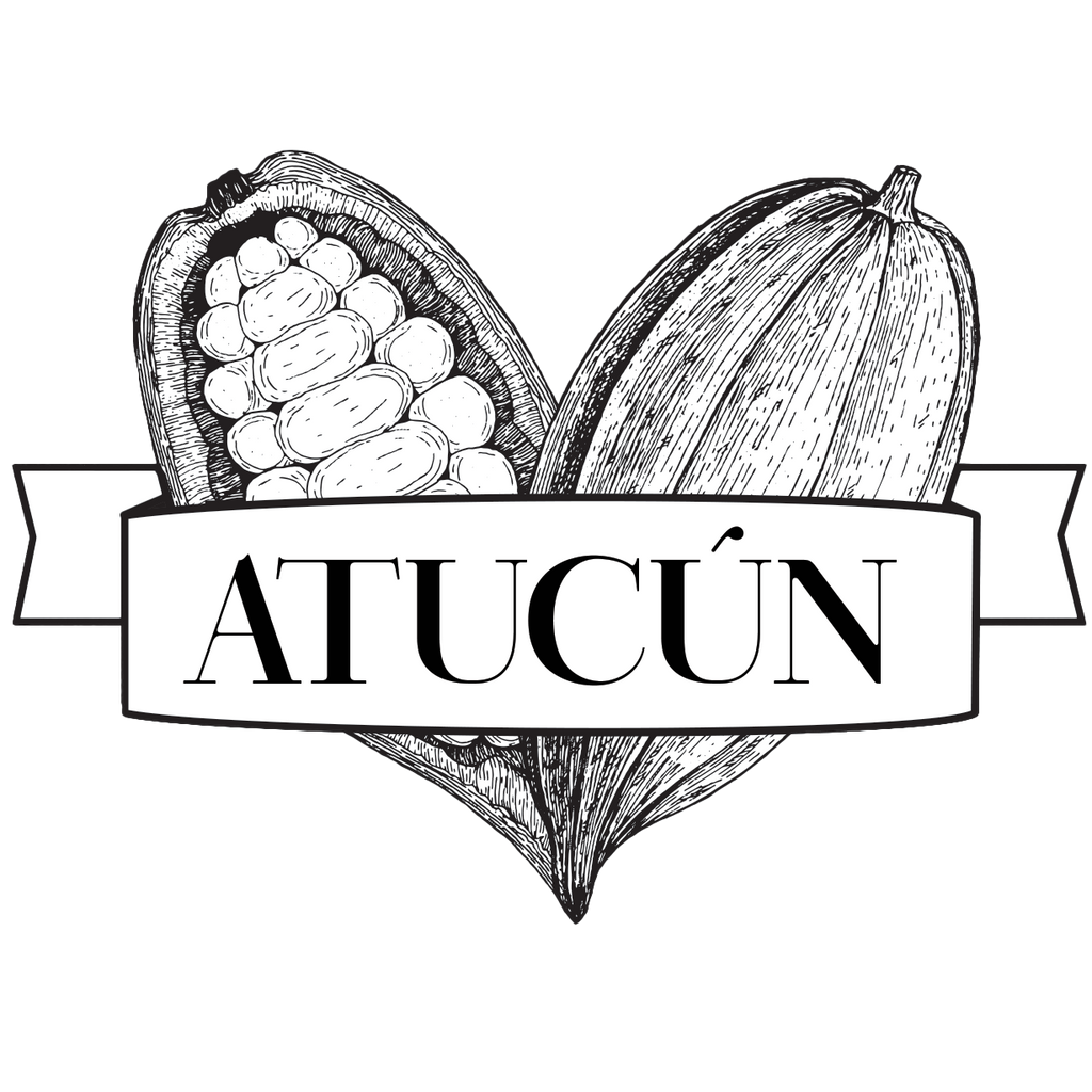 Case - 70% Cacao Chocolate Bars